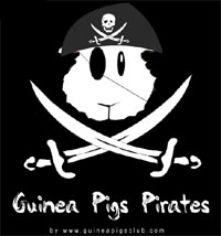 NEW GAME :: Guinea Pigs Pirates